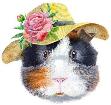 Cute cavy in summer hat with peony. Pig for T-shirt graphics. Watercolor abyssinian guinea pig illustration