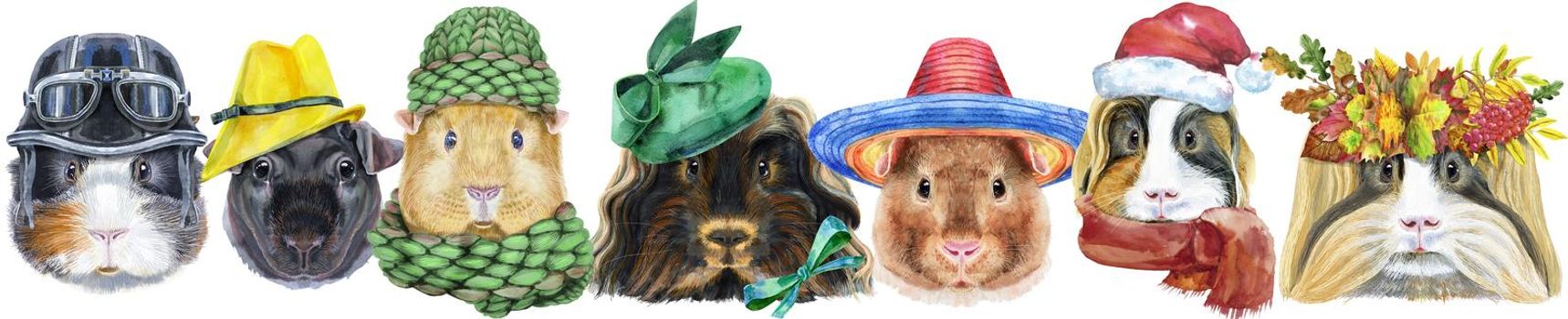 Cute cavy. Pig for T-shirt graphics. Watercolor guinea pigs border set