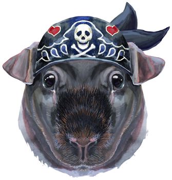 Cute cavy in a biker bandana. Pig for T-shirt graphics. Watercolor Skinny Guinea Pig illustration