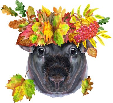 Cute cavy in a wreath of autumn leaves. Pig for T-shirt graphics. Watercolor Skinny Guinea Pig illustration