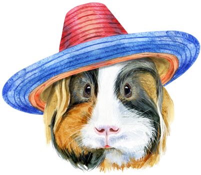 Guinea pig in sombrero. Pig for T-shirt graphics. Watercolor Sheltie guinea pig illustration