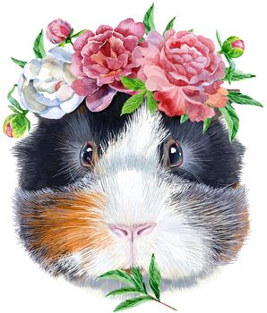 Guinea pig in a wreath of peonies. Pig for T-shirt graphics. Watercolor Abyssinian guinea pig illustration