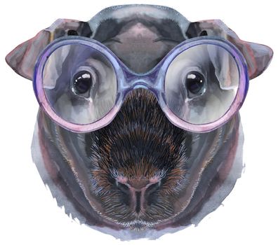 Cute cavy in cute glasses. Pig for T-shirt graphics. Watercolor Skinny Guinea Pig illustration