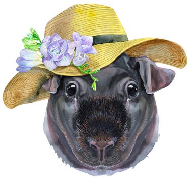 Cute cavy in summer hat . Pig for T-shirt graphics. Watercolor Skinny Guinea Pig illustration