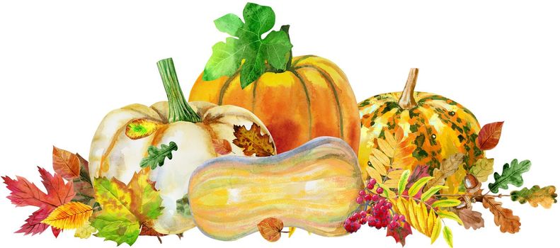 Fall leaves with pumpkins on white background, fall harvest