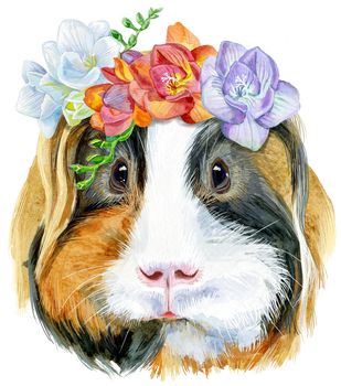 Cute cavy. Pig for T-shirt graphics. Watercolor Sheltie Guinea Pig with freesia wreath illustration