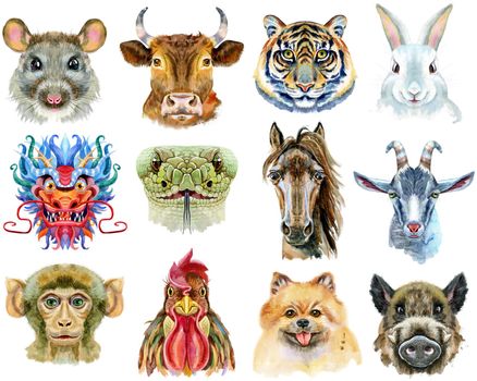 Colorful astrology set with drawings of twelve chinese zodiac animals isolated on white. Watercolor holiday collection of new year calendar and horoscope symbols.