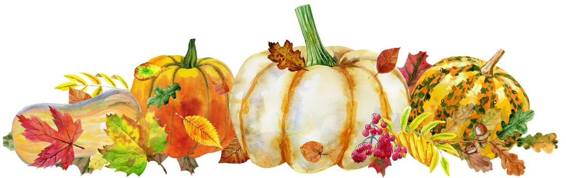 Fall leaves with pumpkins on white background, fall harvest