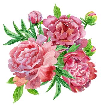 Watercolor bouquet of peonies. Vintage floral elements with peony flowers and leaves isolated on white background. Hand drawn