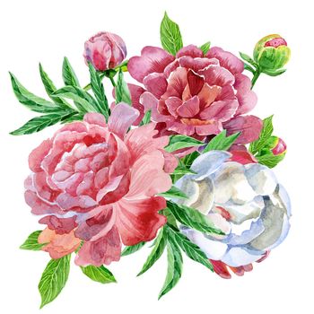 Watercolor bouquet of peonies. Vintage floral elements with peony flowers and leaves isolated on white background. Hand drawn