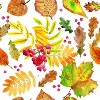 Seamless pattern with autumn orange watercolor leaves on white background.