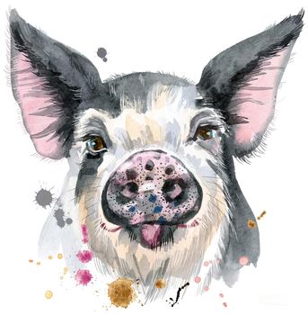 Cute piggy. Pig for T-shirt graphics. Watercolor pig in black spots illustration