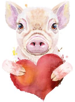 Cute piggy. Pig for T-shirt graphics. Watercolor pink mini pig with red heart illustration