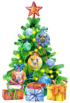Watercolor illustration: Christmas tree decorated with balls with image of pig. Template for the design of posters, cards, invitations