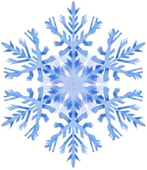 Symbol of winter. Beautiful decoration