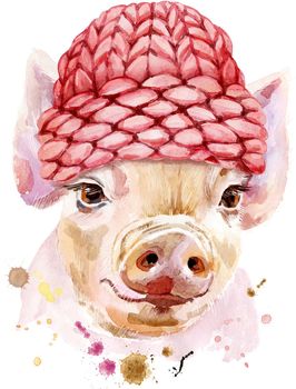 Cute piggy in a knitted hat. Pig for T-shirt graphics. Watercolor pink mini pig illustration