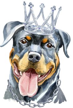 Cute Dog with crown. Dog T-shirt graphics. watercolor rottweiler