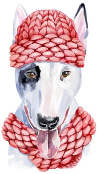 Cute Dog with pink knitted hat. Dog T-shirt graphics. watercolor bull terrier illustration