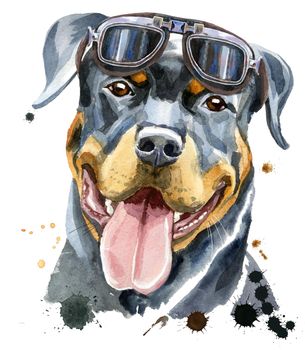 Cute Dog. Dog T-shirt graphics. Watercolor rottweiler with glasses