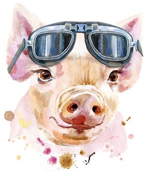 Cute piggy in biker glasses. Pig for T-shirt graphics. Watercolor pink mini pig illustration