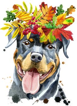 Cute Dog. Dog T-shirt graphics. watercolor rottweiler with wreath of autumn leaves