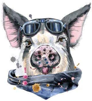 Cute piggy with biker sunglasses. Pig for T-shirt graphics. Watercolor pig in black spots illustration