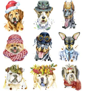 Cute set of watercolor portraits of dogs. For t-shirt graphics. Watercolor dogs illustration