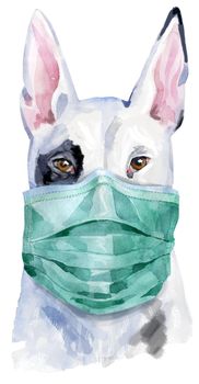 Cute Dog in medical mask. Dog T-shirt graphics. watercolor bull terrier illustration
