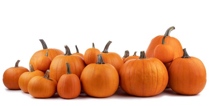 Heap of many harvest orange pumpkins isolated on white background , Halloween or Thanksgiving celebration concept