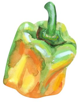 Watercolor yellow pepper isolated hand drawn