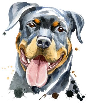 Cute Dog. Dog T-shirt graphics. watercolor rottweiler