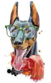 Cute Dog. Dog T-shirt graphics. watercolor doberman illustration with glasses and red scarf