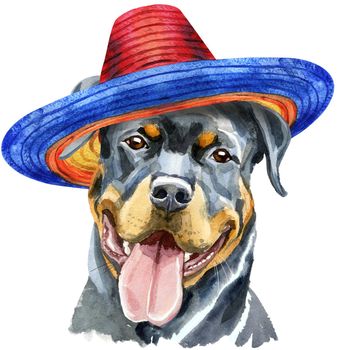 Cute Dog in sombrero. Dog T-shirt graphics. watercolor rottweiler