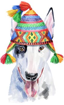 Cute Dog in Peruvian hat. Dog T-shirt graphics. watercolor bull terrier illustration