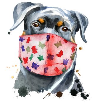 Cute Dog in medical mask. Dog T-shirt graphics. watercolor rottweiler