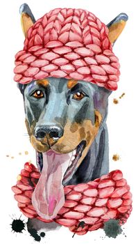 Cute Dog in a knitted hat. Dog T-shirt graphics. watercolor doberman illustration