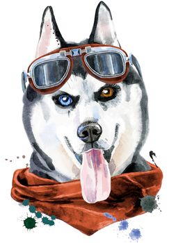 Cute Dog with kerchief and glasses. Dog T-shirt graphics. watercolor husky