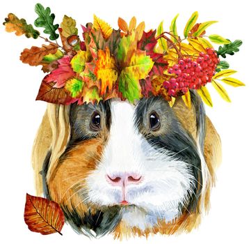 Guinea pig with wreath of leaves. Pig for T-shirt graphics. Watercolor Sheltie guinea pig illustration