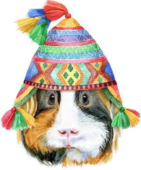 Guinea pig in chullo hat. Pig for T-shirt graphics. Watercolor Sheltie guinea pig illustration