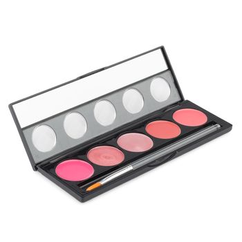 Make-up palette macro isolated on white background