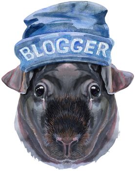 Cute cavy in beanie hat. Pig for T-shirt graphics. Watercolor Skinny Guinea Pig illustration
