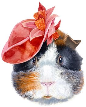 Cute cavy with red hat. Pig for T-shirt graphics. Watercolor abyssinian guinea pig illustration