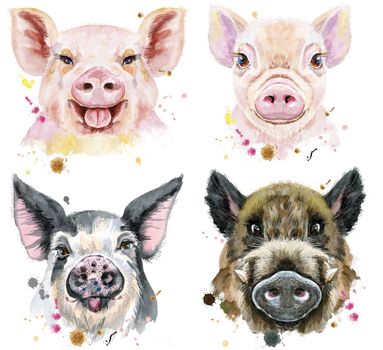 Cute pigs. Set of watercolor pigs for T-shirt graphics.