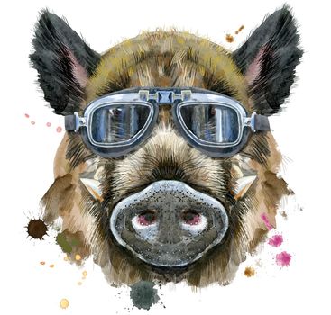 Cute piggy. Wild boar for T-shirt graphics. Watercolor brown boar illustration