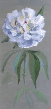 A luxurious white peony on a thin stem with leaves on bluish-gray paper