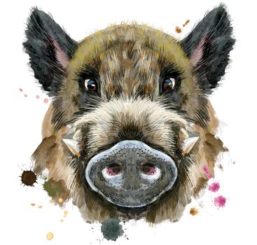 Cute piggy. Wild boar for T-shirt graphics. Watercolor brown boar illustration