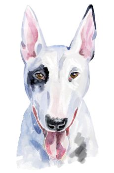 Cute Dog. Dog T-shirt graphics. watercolor bull terrier illustration