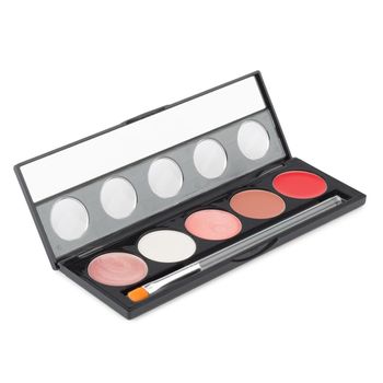 Make-up palette macro isolated on white background