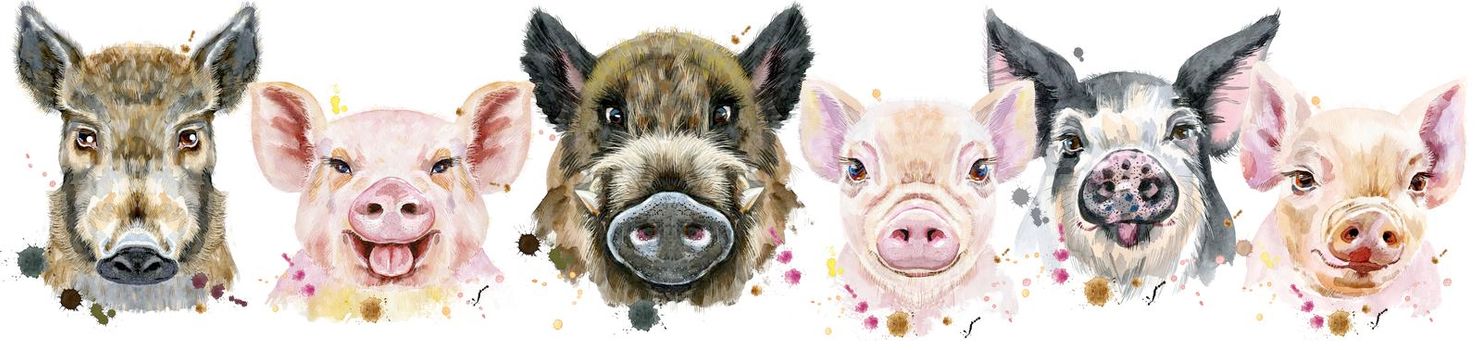 Cute border from watercolor portraits of pigs.