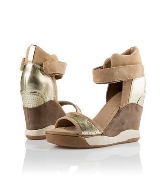 Pair of modern fashionable women shoes shot in studio
